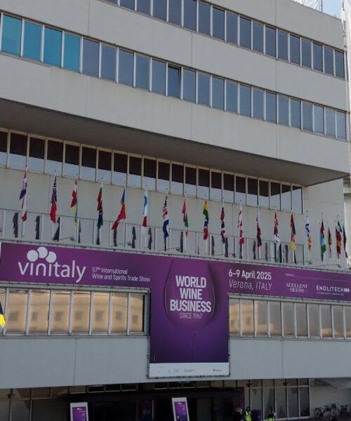 Presentato a Vinitaly il Wine Business Program, primo master per manager del vino