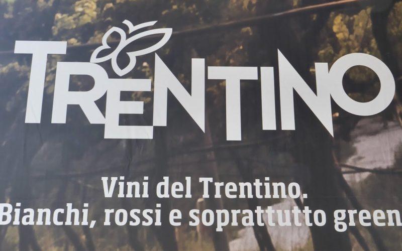 Vinitaly 2022 – Consorzio Vini del Trentino, primo bilancio di sostenibilità - veronafierechannel.it