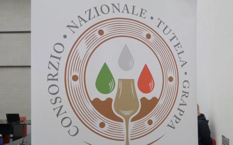 Vinitaly 2022 – Nasce il Consorzio Nazionale per la Tutela della Grappa - veronafierechannel.it