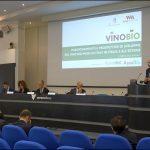 Vinitaly 2022 – Un vino: Bio trend e sfide - veronafierechannel.it
